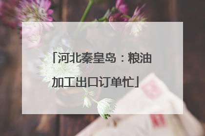 河北秦皇岛：粮油加工出口订单忙