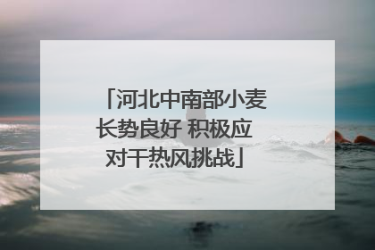 河北中南部小麦长势良好 积极应对干热风挑战