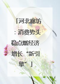 河北廊坊：消费势头稳点燃经济增长“新引擎”