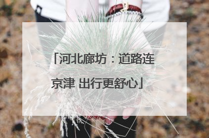 河北廊坊：道路连京津 出行更舒心