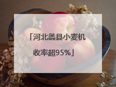 河北蠡县小麦机收率超95%