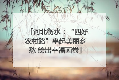 河北衡水：“四好农村路”串起美丽乡愁 绘出幸福画卷