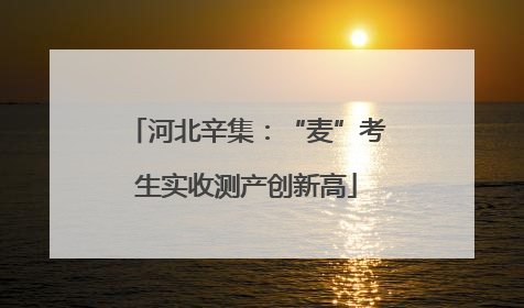 河北辛集：“麦”考生实收测产创新高