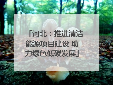 河北：推进清洁能源项目建设 助力绿色低碳发展