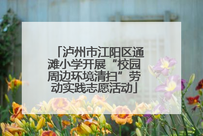 泸州市江阳区通滩小学开展“校园周边环境清扫”劳动实践志愿活动