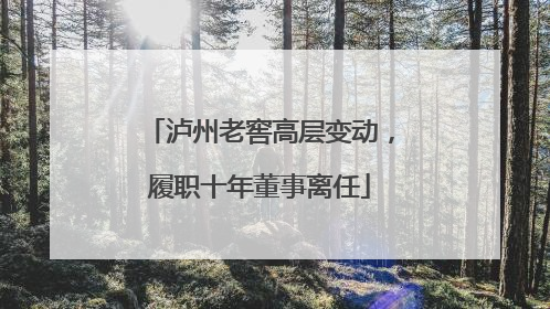 泸州老窖高层变动，履职十年董事离任