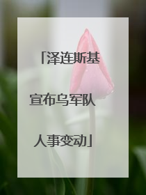 泽连斯基宣布乌军队人事变动
