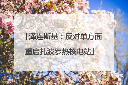 泽连斯基：反对单方面重启扎波罗热核电站