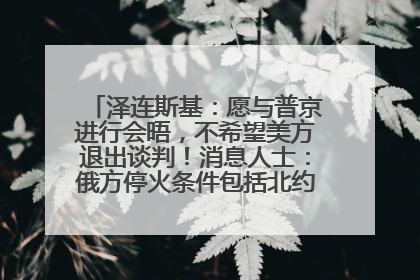 泽连斯基：愿与普京进行会晤，不希望美方退出谈判！消息人士：俄方停火条件包括北约“书面”保证不东扩