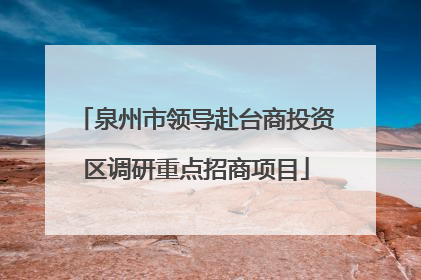 泉州市领导赴台商投资区调研重点招商项目