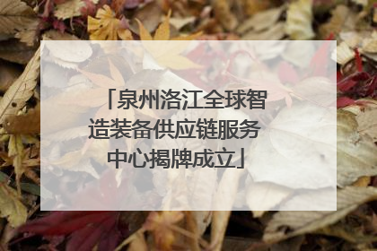 泉州洛江全球智造装备供应链服务中心揭牌成立