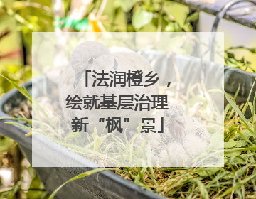 法润橙乡，绘就基层治理新“枫”景