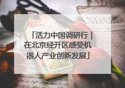 活力中国调研行｜在北京经开区感受机器人产业创新发展