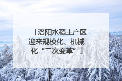 洛阳水稻主产区迎来规模化、机械化“二次变革”
