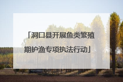 洞口县开展鱼类繁殖期护渔专项执法行动