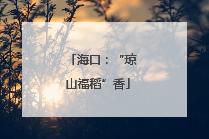 海口：“琼山福稻”香