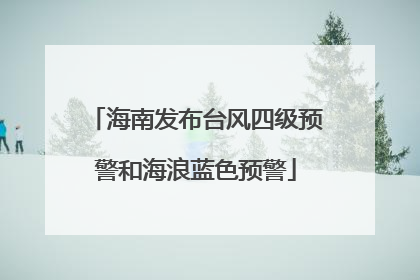海南发布台风四级预警和海浪蓝色预警