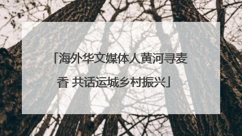 海外华文媒体人黄河寻麦香 共话运城乡村振兴