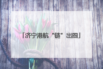 济宁港航“链”出圈
