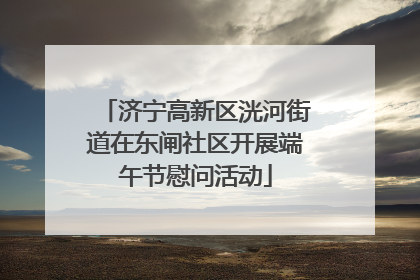 济宁高新区洸河街道在东闸社区开展端午节慰问活动
