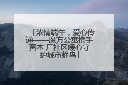 浓情端午，爱心传递——魔方公寓携手黄木 厂社区暖心守护城市蜂鸟