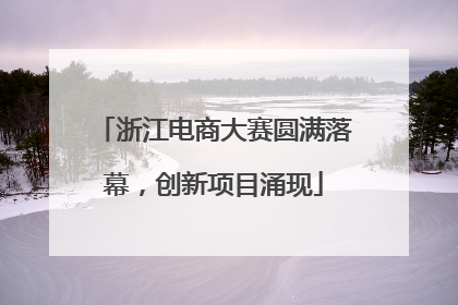 浙江电商大赛圆满落幕，创新项目涌现