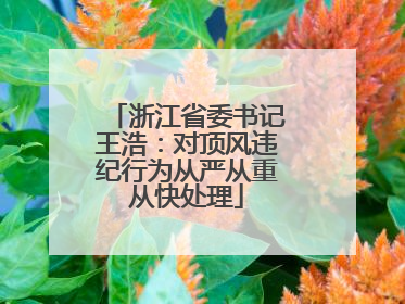 浙江省委书记王浩：对顶风违纪行为从严从重从快处理