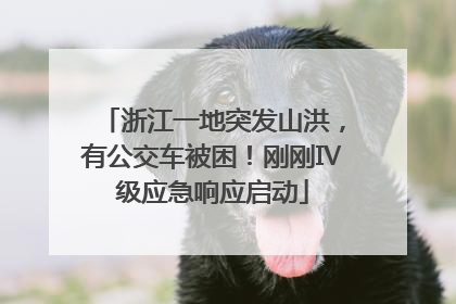 浙江一地突发山洪，有公交车被困！刚刚Ⅳ级应急响应启动