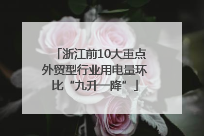 浙江前10大重点外贸型行业用电量环比“九升一降”