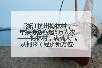 浙江杭州梅林村，一年接待游客超5万人次——梅林村，满满人气从何来（经济新方位·农村消费观察）
