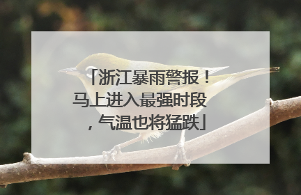 浙江暴雨警报！马上进入最强时段，气温也将猛跌