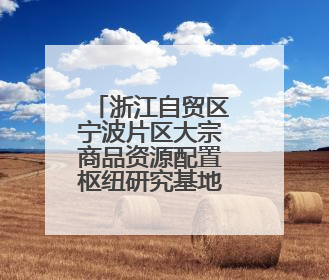 浙江自贸区宁波片区大宗商品资源配置枢纽研究基地揭牌