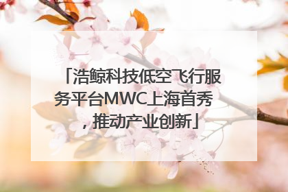 浩鲸科技低空飞行服务平台MWC上海首秀，推动产业创新