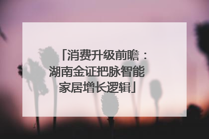 消费升级前瞻：湖南金证把脉智能家居增长逻辑