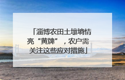 淄博农田土壤墒情亮“黄牌”，农户需关注这些应对措施