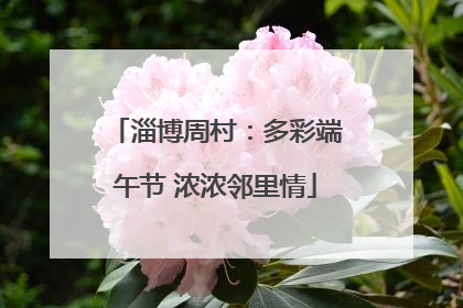 淄博周村：多彩端午节 浓浓邻里情