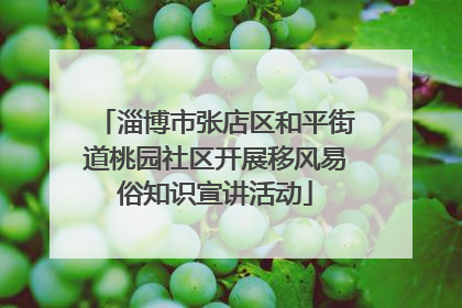 淄博市张店区和平街道桃园社区开展移风易俗知识宣讲活动