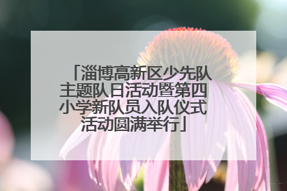 淄博高新区少先队主题队日活动暨第四小学新队员入队仪式活动圆满举行