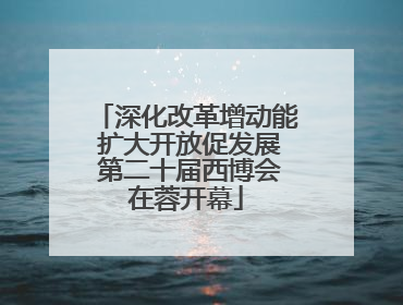 深化改革增动能 扩大开放促发展 第二十届西博会在蓉开幕