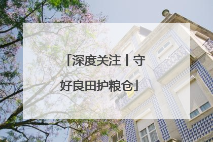 深度关注丨守好良田护粮仓
