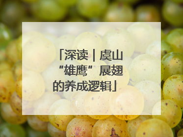 深读｜虞山“雄鹰”展翅的养成逻辑