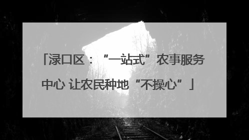 渌口区：“一站式”农事服务中心 让农民种地“不操心”