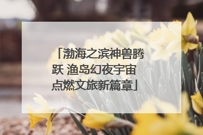 渤海之滨神兽腾跃 渔岛幻夜宇宙点燃文旅新篇章