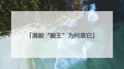 港股“股王”为何是它