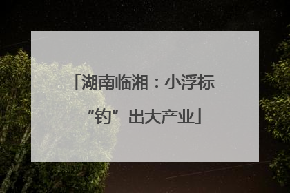 湖南临湘：小浮标“钓”出大产业