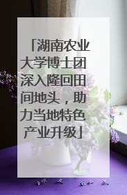 湖南农业大学博士团深入隆回田间地头，助力当地特色产业升级