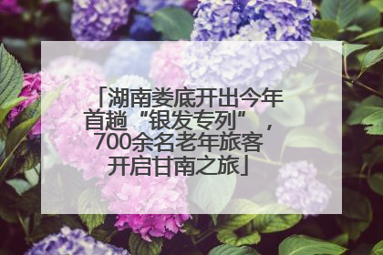 湖南娄底开出今年首趟“银发专列”，700余名老年旅客开启甘南之旅