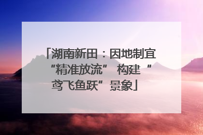 湖南新田：因地制宜“精准放流” 构建“鸢飞鱼跃”景象