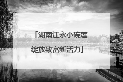 湖南江永小碗莲绽放致富新活力