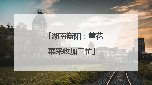 湖南衡阳：黄花菜采收加工忙
